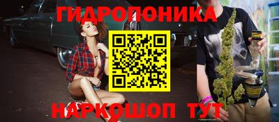 гидропоника Партизанск