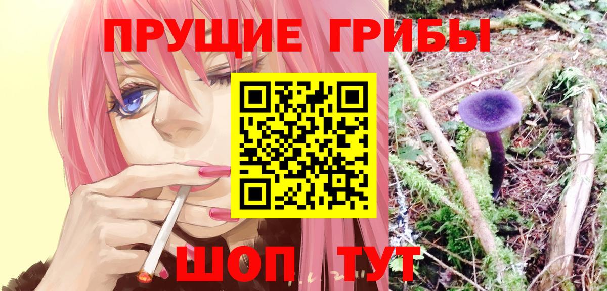 где найти   Галлюциногенные грибы Magic Shrooms  Псилоцибиновые грибы Magic Shrooms  Вход с VPN  Серпухов 
